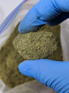 Buy Bluefin Tuna Kush (AAAA-) Online at Top Shelf BC