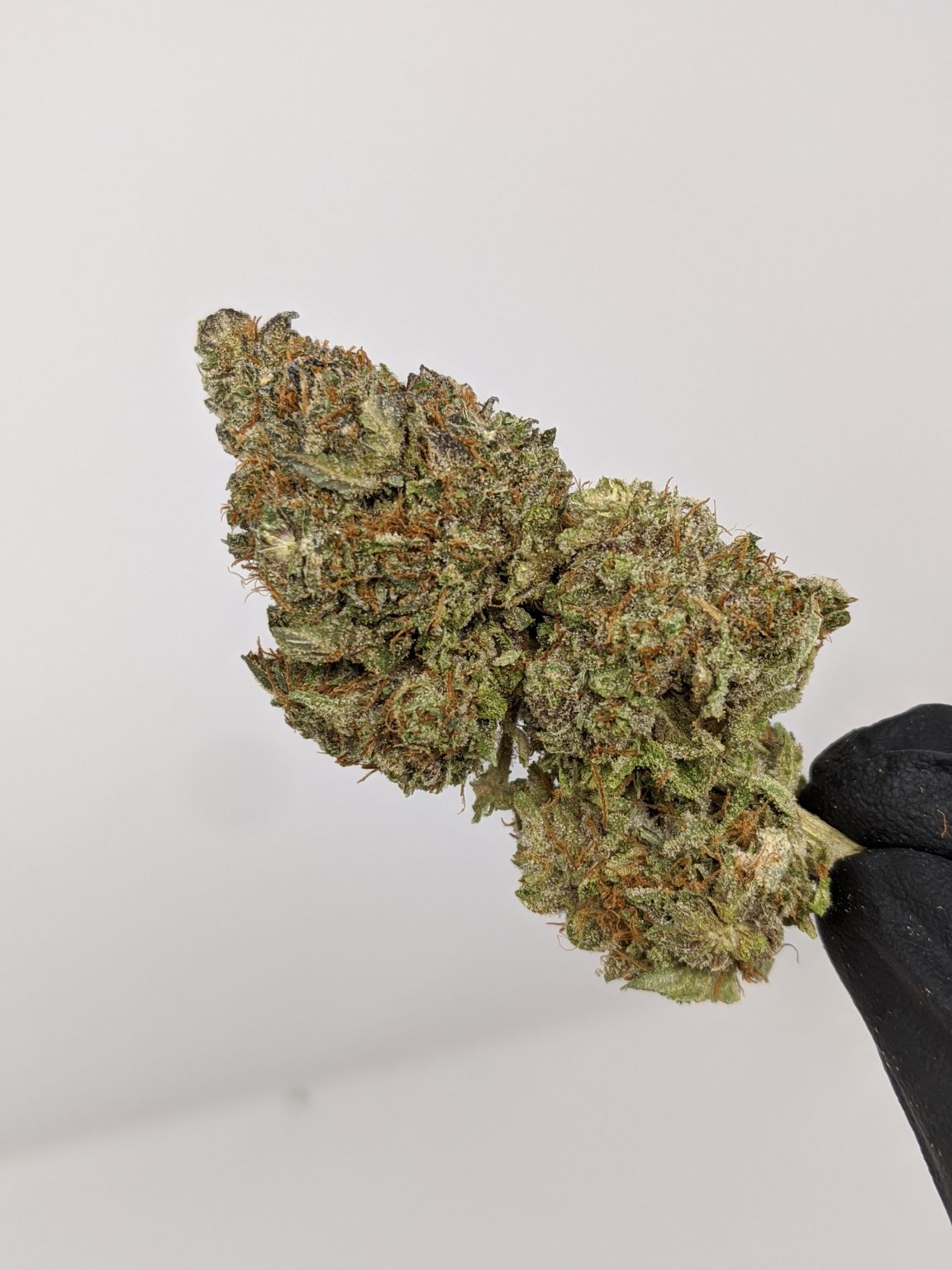 Buy Pink Tuna Tuna Kush (AAA-) Online at Top Shelf BC