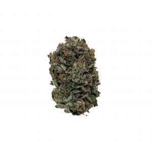 Buy Rockstar (AAA) Online at Top Shelf BC