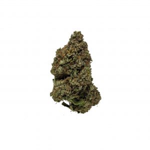 Buy Black Tuna (AAA+) Online at Top Shelf BC