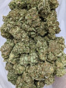 Buy Black Tuna (AAA+) Online at Top Shelf BC