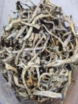 Buy Cuban Cubensis Magic Mushrooms Online at Top Shelf BC