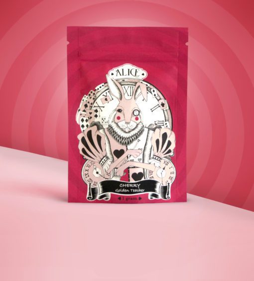 Buy Alice - Cherry Mushroom Gummy - 1 Gram Online at Top Shelf BC