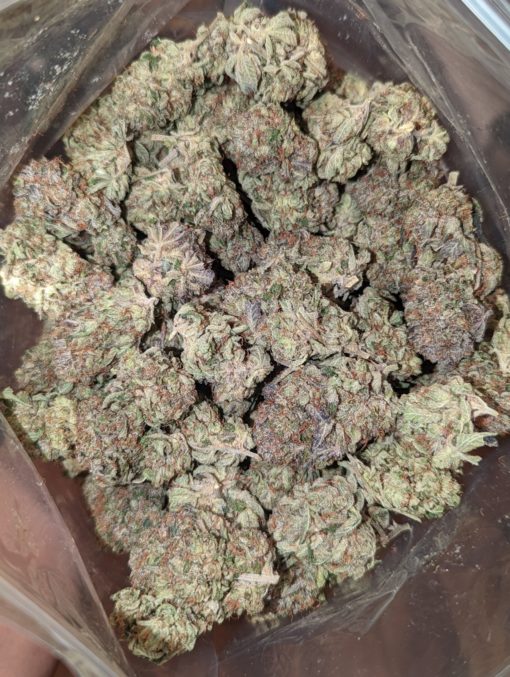 Buy G13 Gas (AAAA) Online at Top Shelf BC