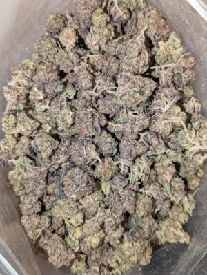 Buy God's Bubba (AAA) Online at Top Shelf BC