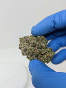 Buy Tom Ford Pink Kush (AAAA) Online at Top Shelf BC