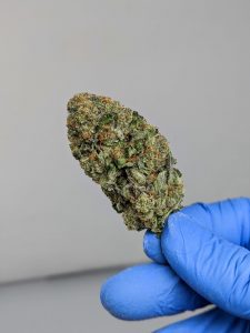Buy Pink Kush (AAA) Online at Top Shelf BC