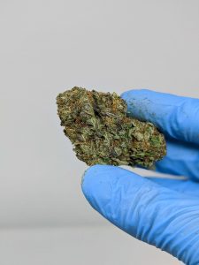 Buy Pineapple Express (AAA) Online at Top Shelf BC