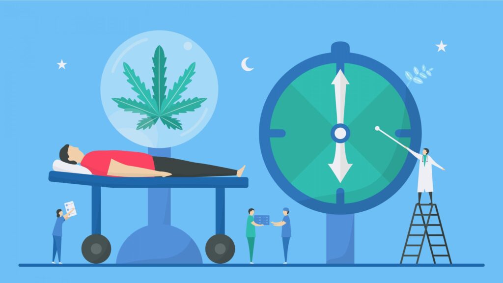 Having trouble sleeping? Use the best weed for insomnia