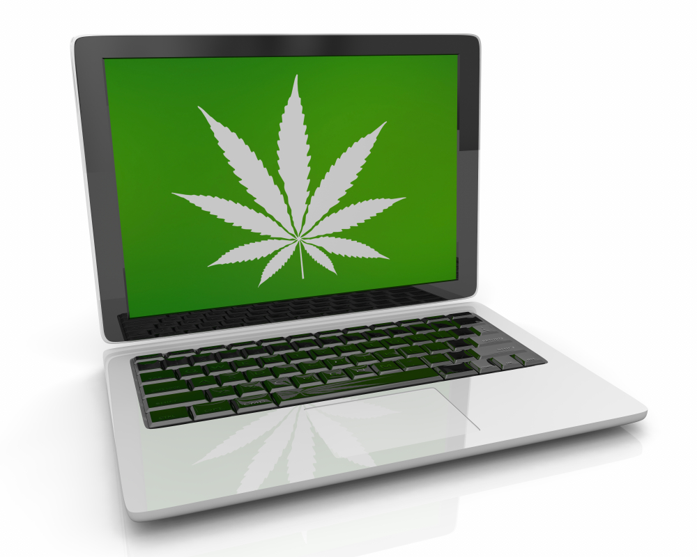 Buy weed online in Canada: Everything You Need to Know