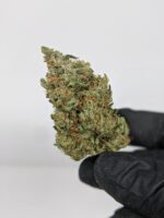 Buy El Muerte (AAA+) Online at Top Shelf BC