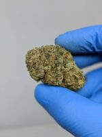 Buy Durban Poison (AAA) Online at Top Shelf BC