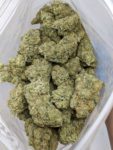 Buy Tropic Thunder (AAAA) Online at Top Shelf BC