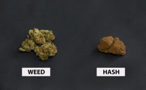 Complete Guide On How To Make Hash