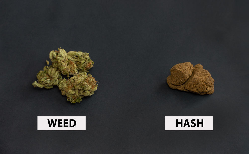 weed vs hash