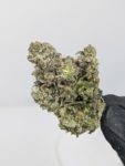 Buy Rockstar (AAA) Online at Top Shelf BC