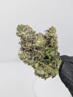Buy Rockstar (AAA) Online at Top Shelf BC