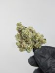 Buy Rockstar (AAA) Online at Top Shelf BC