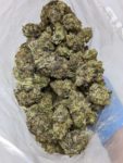 Buy Tropic Thunder (AAAA) Online at Top Shelf BC