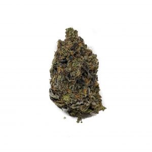 Buy Tropic Thunder (AAAA) Online at Top Shelf BC