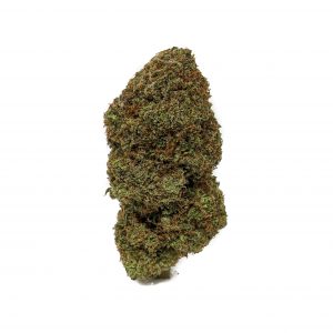 Buy Tropic Thunder (AAAA) Online at Top Shelf BC