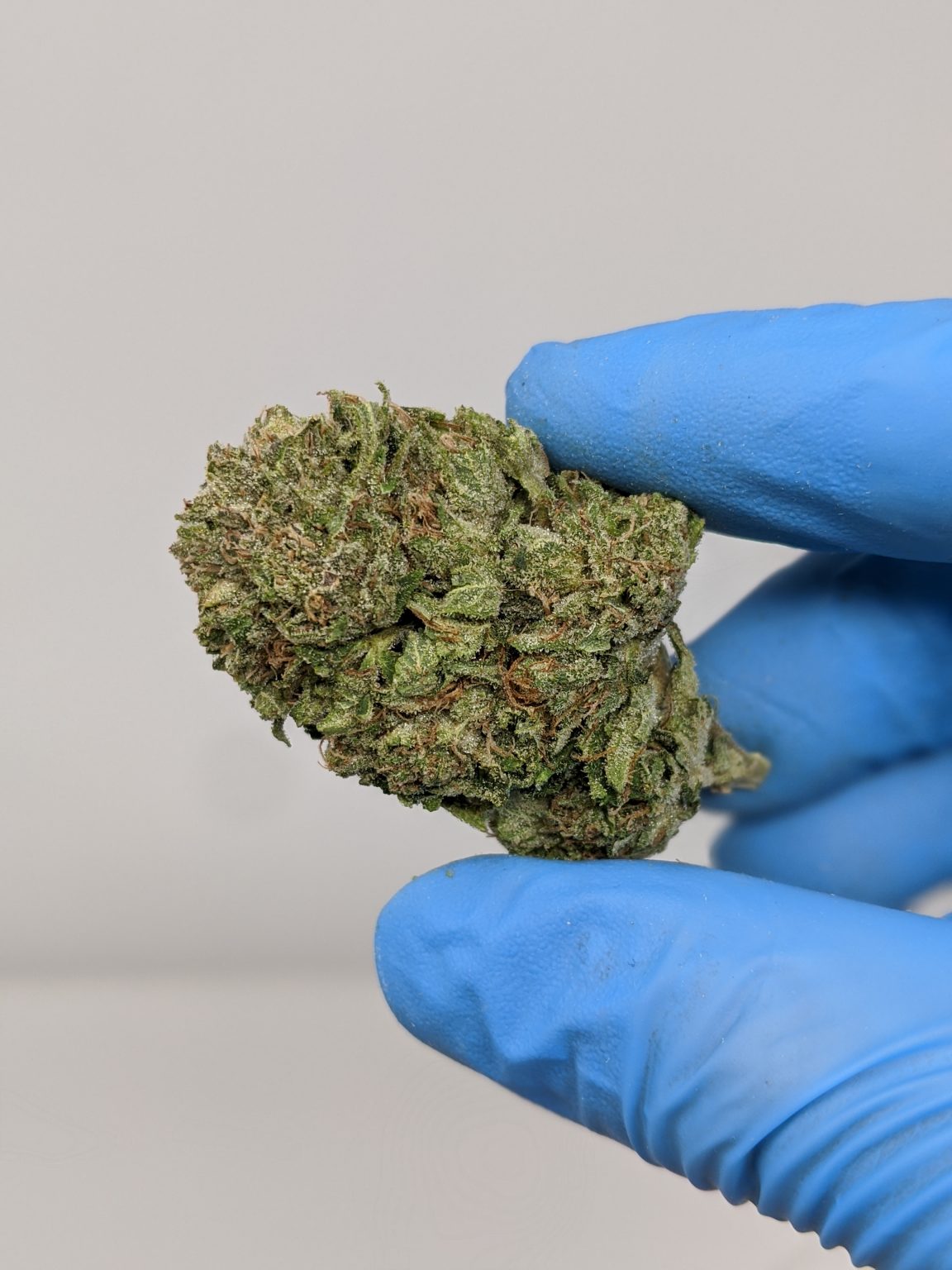 Buy 94 Octane (AAA+) Online at Top Shelf BC
