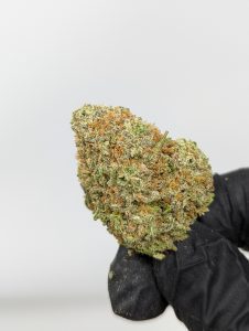 Buy Hawaiian Punch (AAA) Online at Top Shelf BC