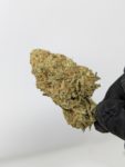 Buy Hawaiian Punch (AAA) Online at Top Shelf BC