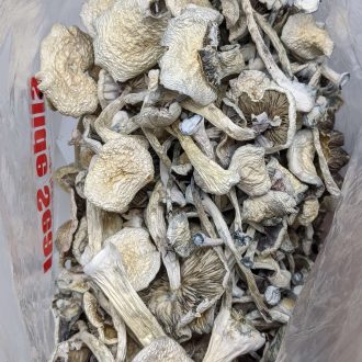 Buy Penis Envy Magic Mushroom Online at Top Shelf BC