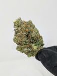 Buy Sunset Sherbet (AAA) Online at Top Shelf BC