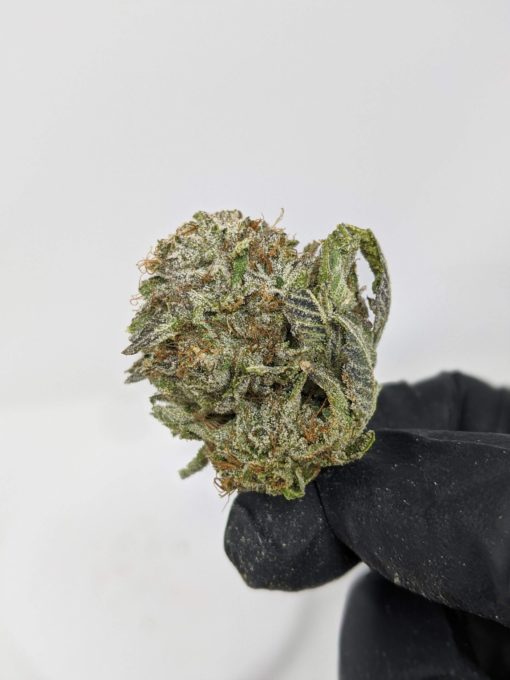 Buy Sunset Sherbet (AAA) Online at Top Shelf BC