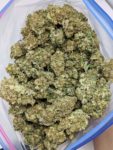 Buy Sunset Sherbet (AAA) Online at Top Shelf BC
