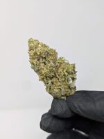 Buy Sunset Sherbet (AAA) Online at Top Shelf BC