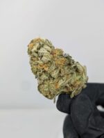 Buy Sunset Sherbet (AAA) Online at Top Shelf BC