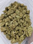 Buy Sunset Sherbet (AAA) Online at Top Shelf BC