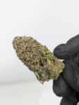 Buy Lindsay OG (AAA) Online at Top Shelf BC