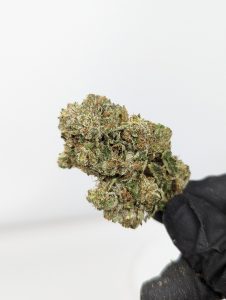 Buy Lindsay OG (AAA) Online at Top Shelf BC