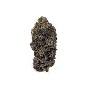 Buy King Louis XIII (AAAA) Online at Top Shelf BC