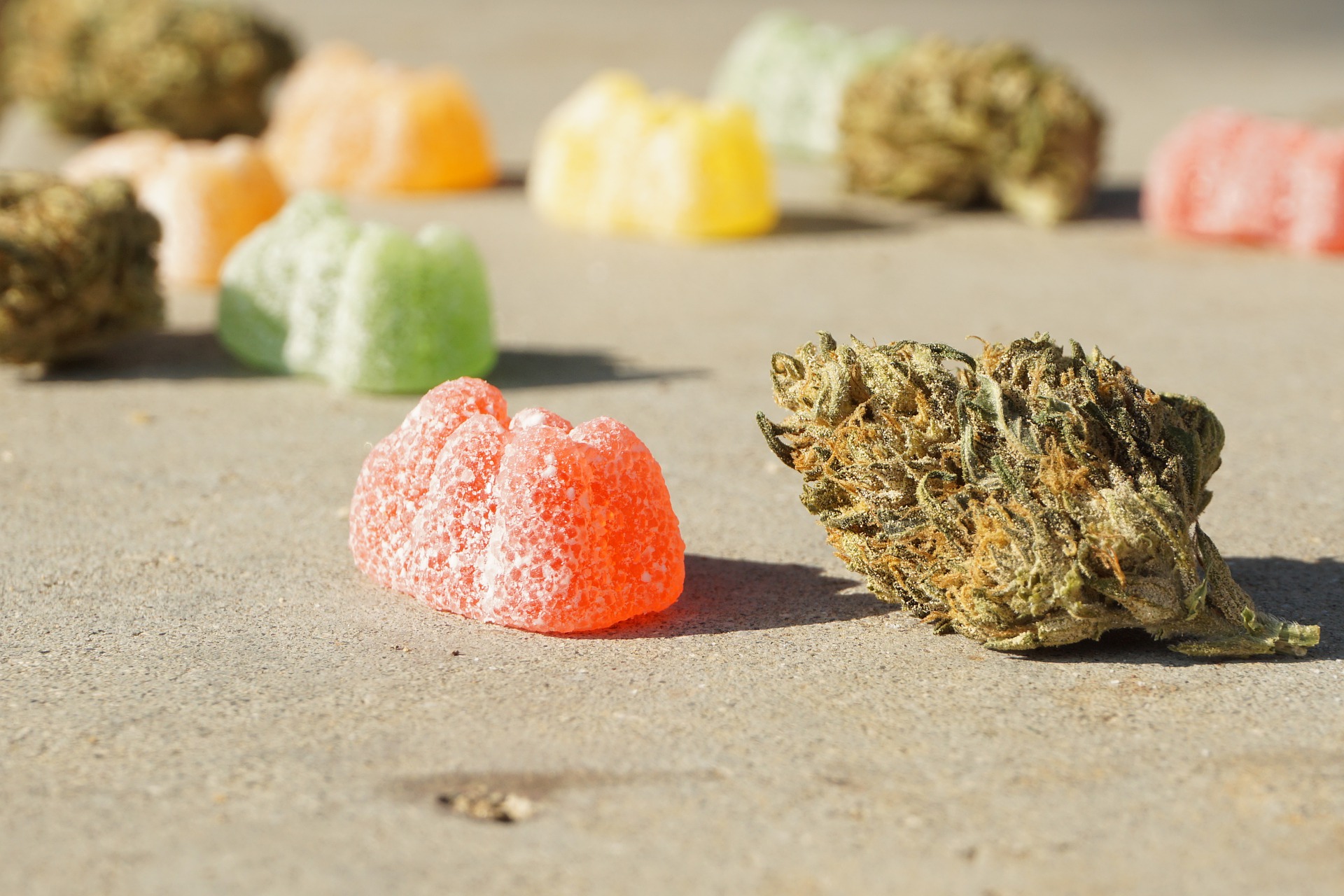Difference between Sativa Edibles and Indica Edibles (2022 Edition)