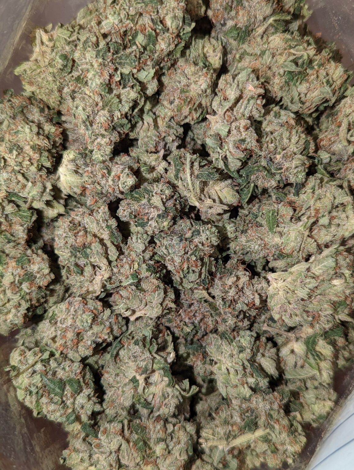 Buy Blue Cheese (AAA) Online at Top Shelf BC