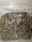 Buy Blue Cheese (AAA) Online at Top Shelf BC