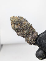 Buy King Louis XIII (AAAA) Online at Top Shelf BC