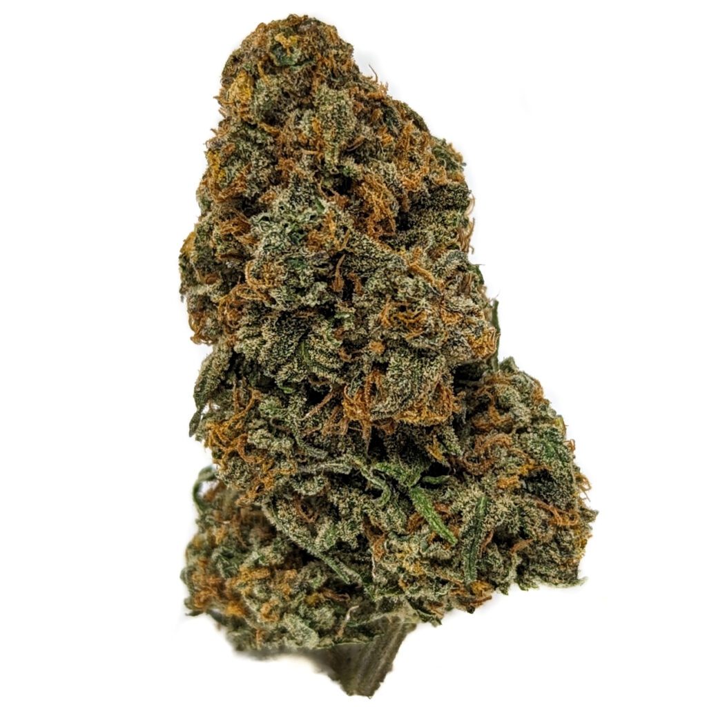 Buy Pineapple Haze (AAA) Top Shelf BC