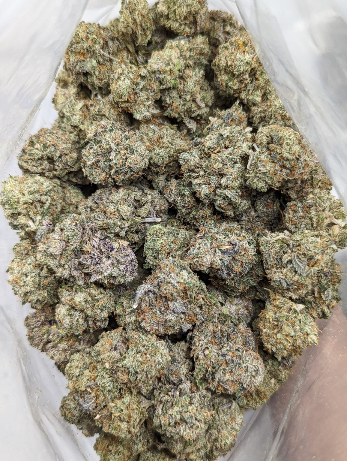 Buy Trunk Funk Strain Online at Top Shelf BC