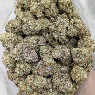 Buy Trunk Funk Strain Online at Top Shelf BC