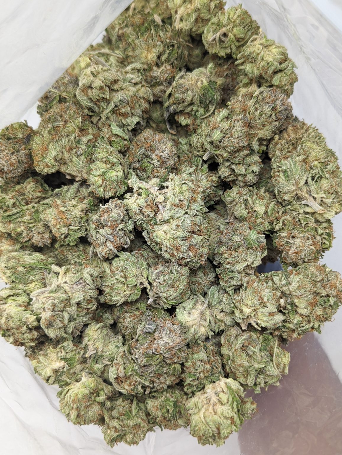 Buy Cat's Piss (AAA) Online at Top Shelf BC