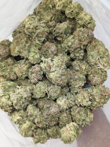 Buy Cat's Piss (AAA) Online at Top Shelf BC
