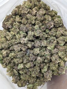 Buy Cat's Piss (AAA) Online at Top Shelf BC
