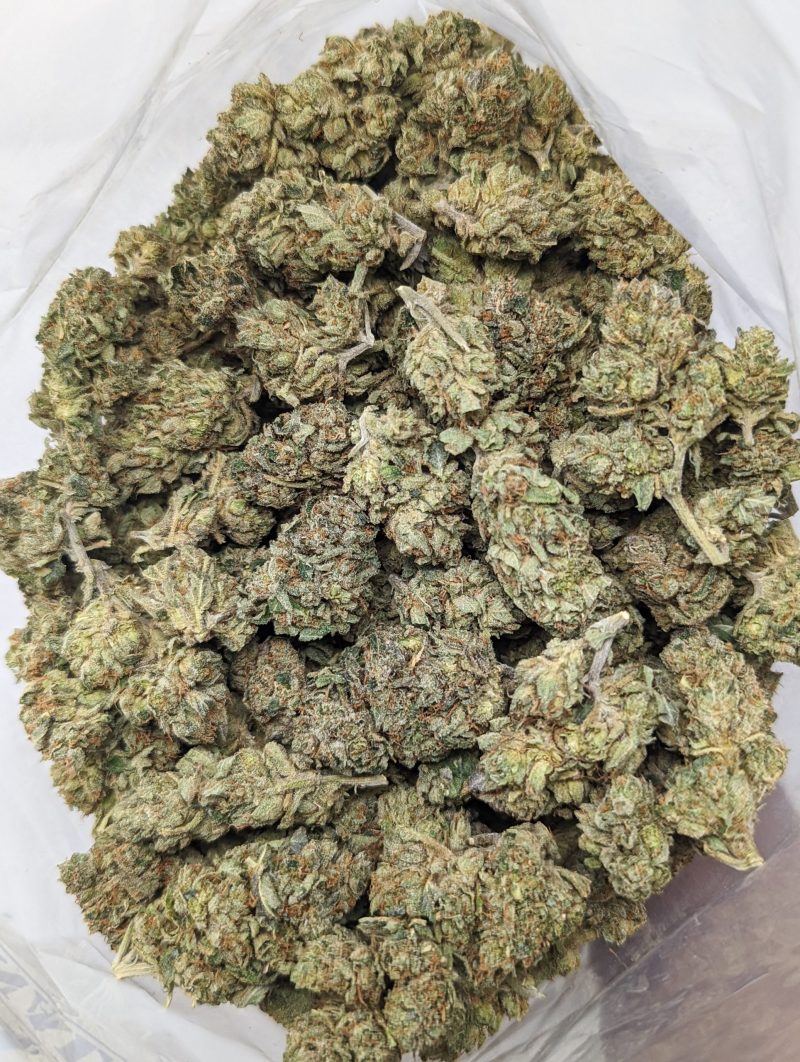 Buy Cat's Piss (AAA) Online at Top Shelf BC