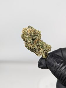 Buy Cat's Piss (AAA) Online at Top Shelf BC